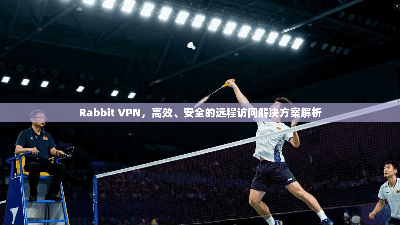 Rabbit VPN,高效、安全的远程访问解决方案解析 Rabbit VPN,高效、安全的远程访问解决方案解析