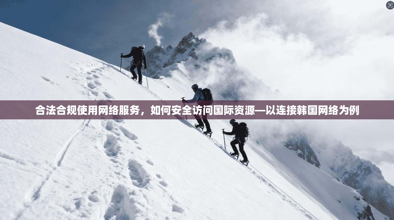 合法合规使用网络服务，如何安全访问国际资源—以连接韩国网络为例