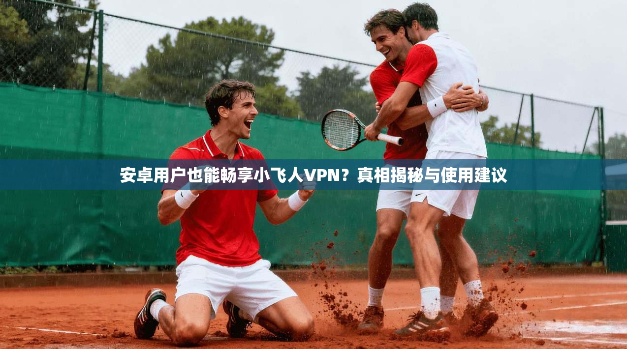 安卓用户也能畅享小飞人VPN？真相揭秘与使用建议