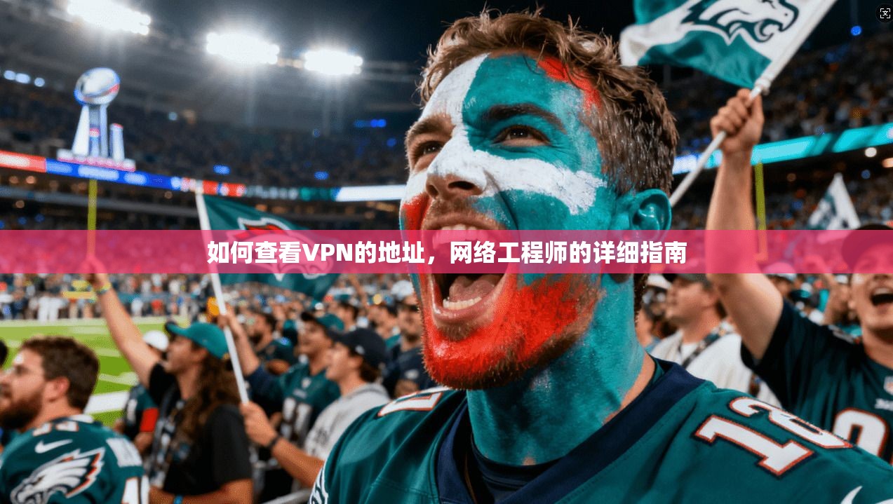 如何查看VPN的地址，网络工程师的详细指南