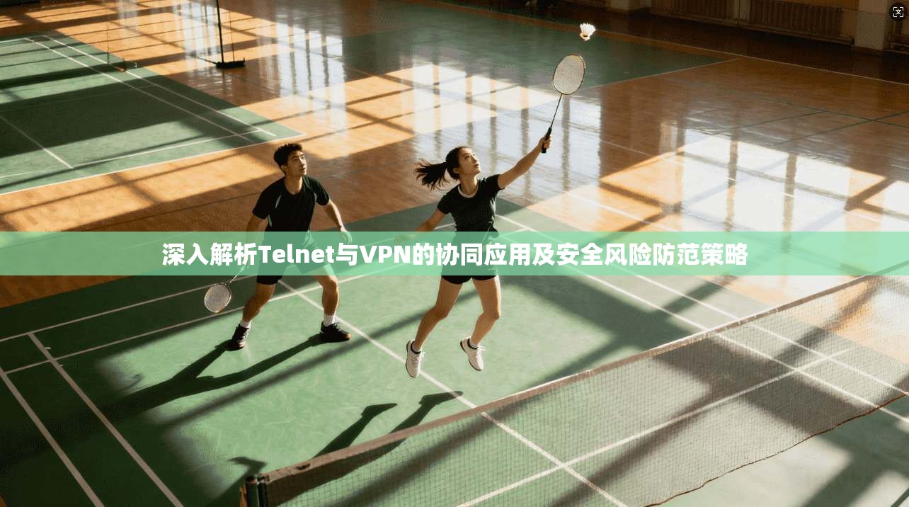 深入解析Telnet与VPN的协同应用及安全风险防范策略