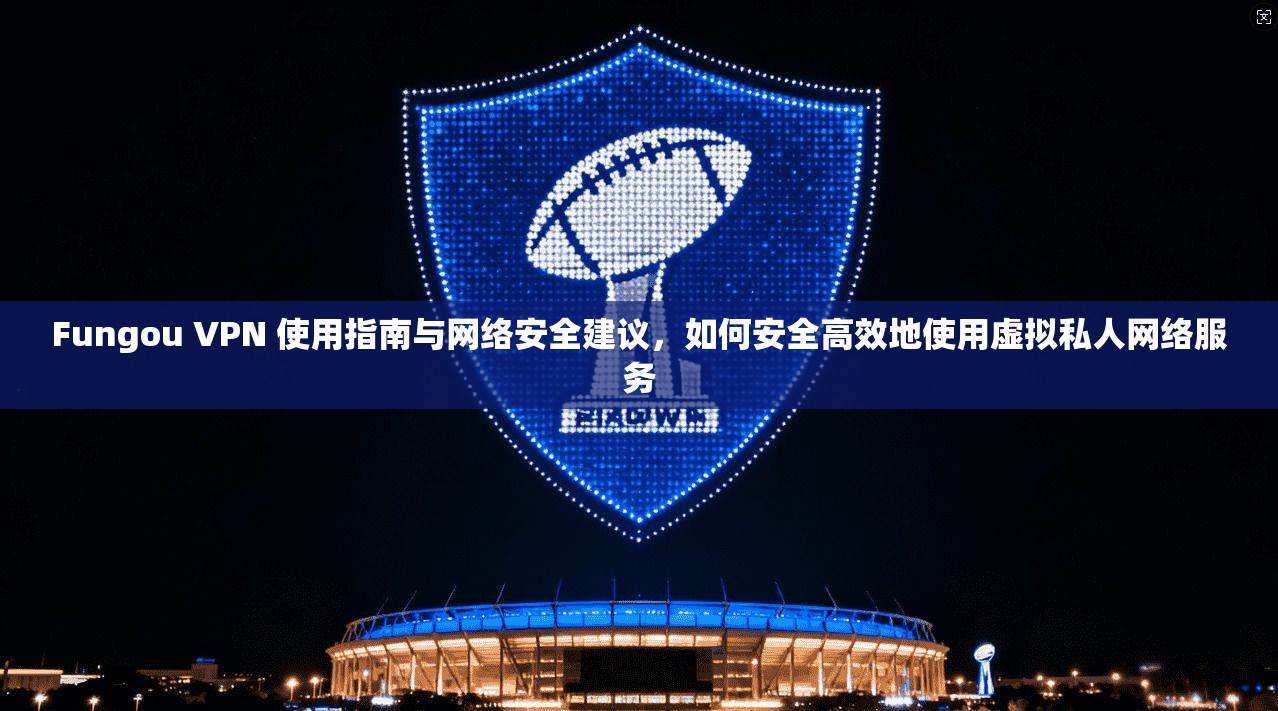 Fungou VPN 使用指南与网络安全建议，如何安全高效地使用虚拟私人网络服务