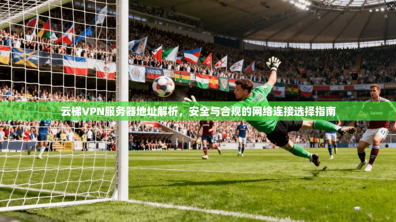 云梯VPN服务器地址解析，安全与合规的网络连接选择指南