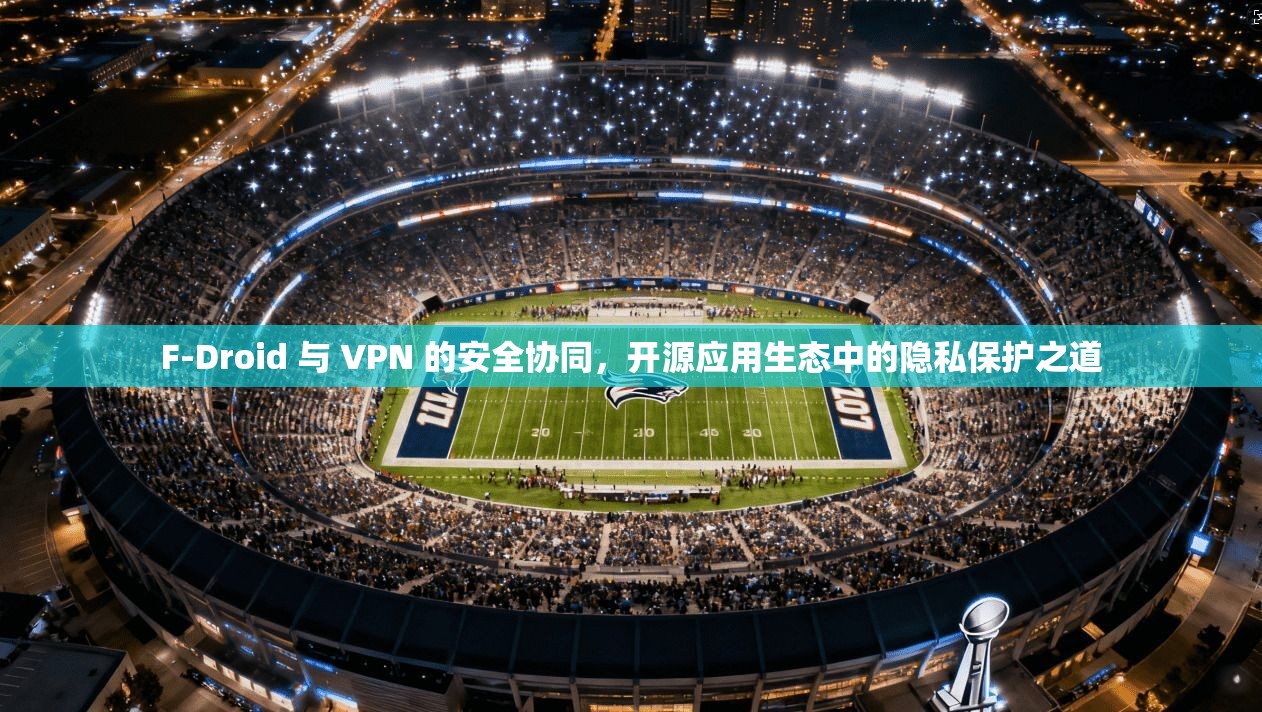 F-Droid 与 VPN 的安全协同，开源应用生态中的隐私保护之道