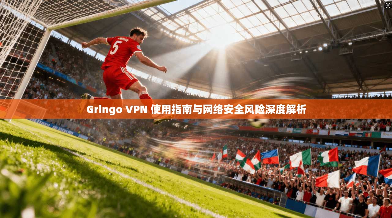 Gringo VPN 使用指南与网络安全风险深度解析