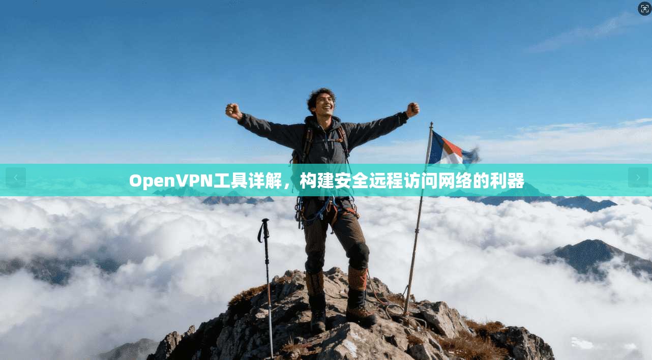 OpenVPN工具详解，构建安全远程访问网络的利器