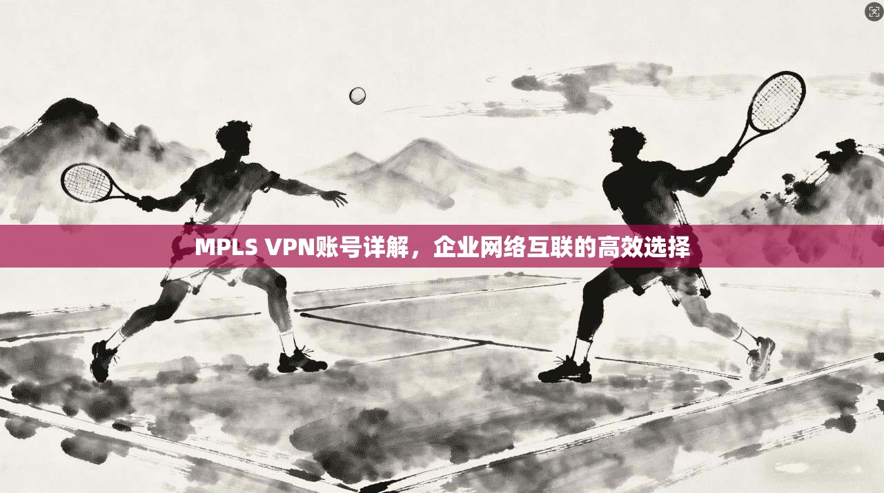 MPLS VPN账号详解,企业网络互联的高效选择 MPLS VPN账号详解,企业网络互联的高效选择