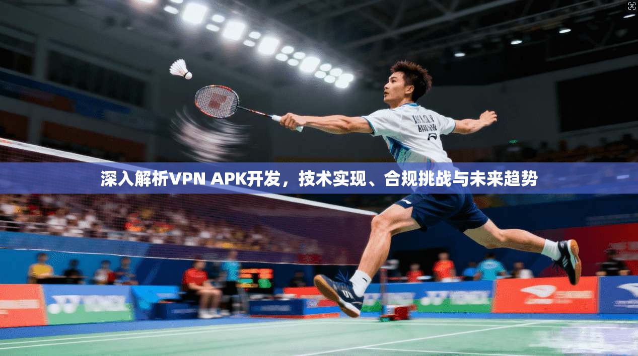 深入解析VPN APK开发，技术实现、合规挑战与未来趋势