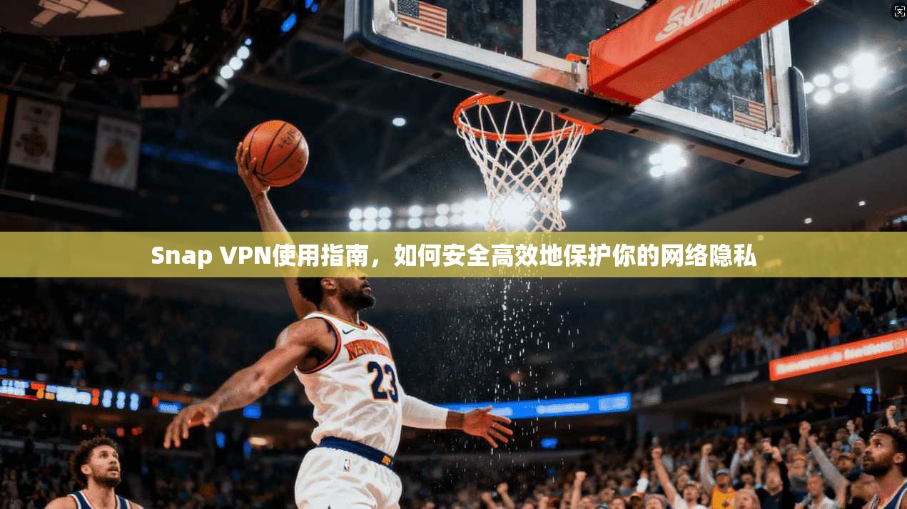 Snap VPN使用指南，如何安全高效地保护你的网络隐私