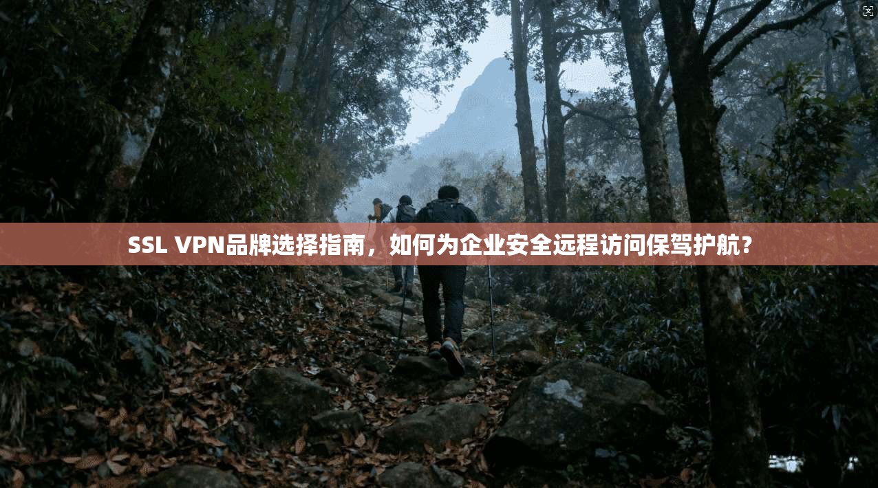 SSL VPN品牌选择指南，如何为企业安全远程访问保驾护航？