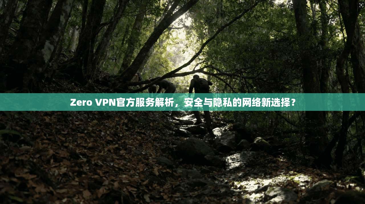 Zero VPN官方服务解析，安全与隐私的网络新选择？