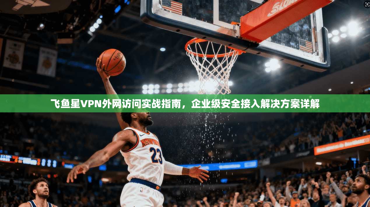 飞鱼星VPN外网访问实战指南,企业级安全接入解决方案详解 飞鱼星VPN外网访问实战指南,企业级安全接入解决方案详解