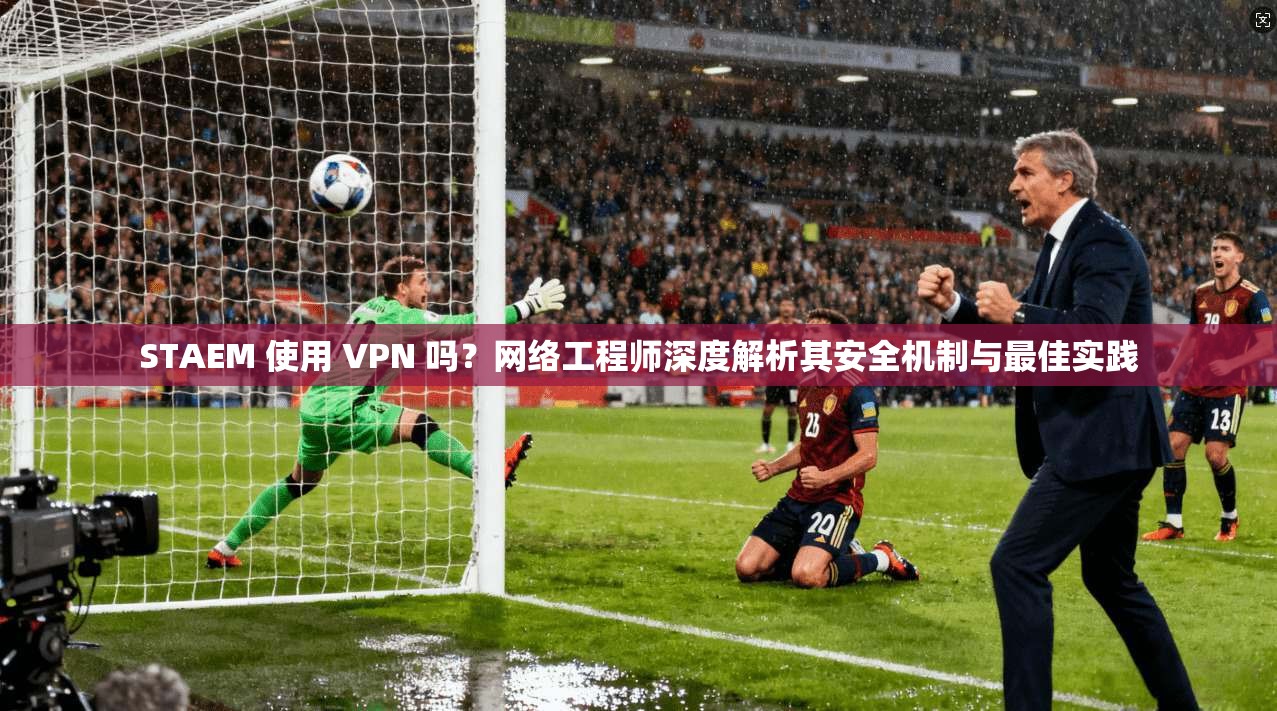 STAEM 使用 VPN 吗？网络工程师深度解析其安全机制与最佳实践