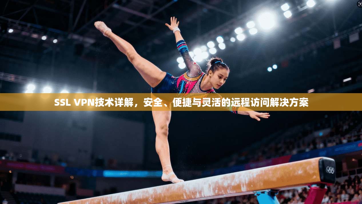 SSL VPN技术详解，安全、便捷与灵活的远程访问解决方案