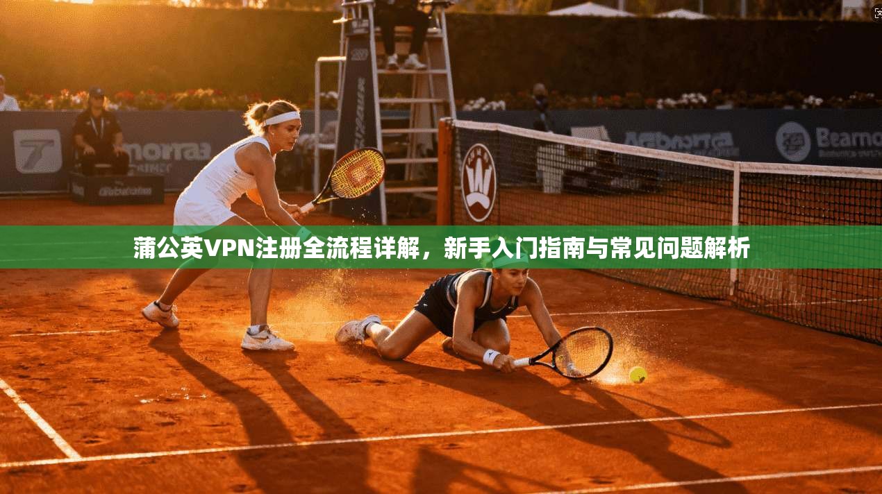 蒲公英VPN注册全流程详解，新手入门指南与常见问题解析