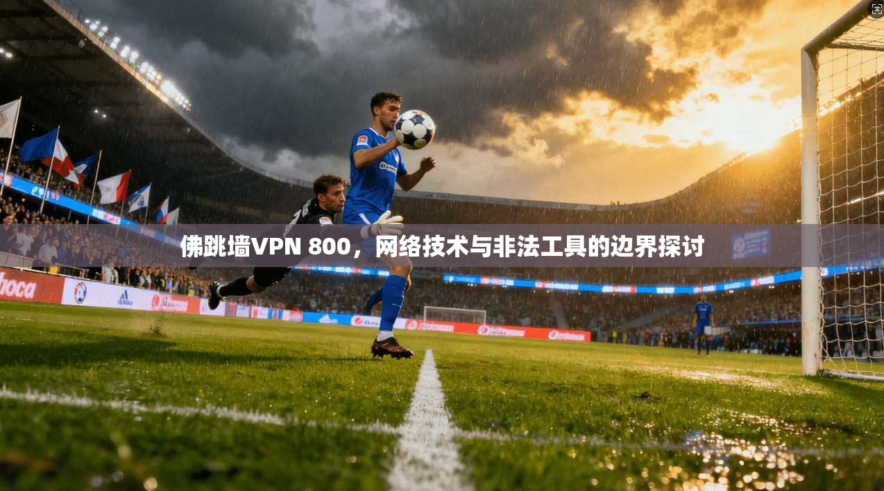 佛跳墙VPN 800,网络技术与非法工具的边界探讨 佛跳墙VPN 800,网络技术与非法工具的边界探讨