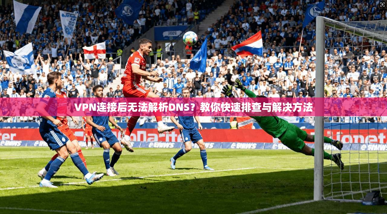 VPN连接后无法解析DNS？教你快速排查与解决方法