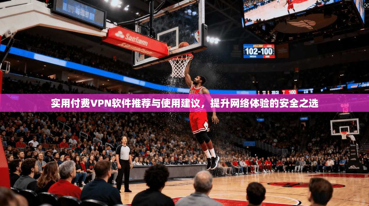 实用付费VPN软件推荐与使用建议，提升网络体验的安全之选