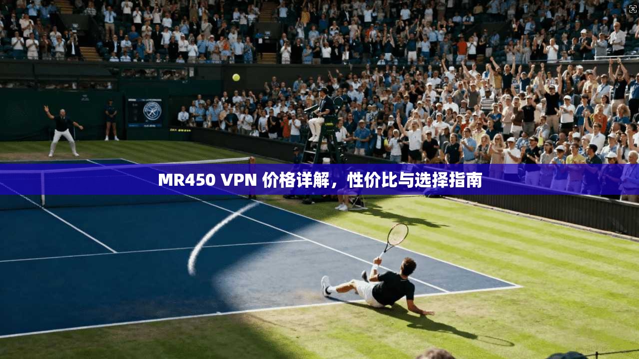 MR450 VPN 价格详解,性价比与选择指南 MR450 VPN 价格详解,性价比与选择指南