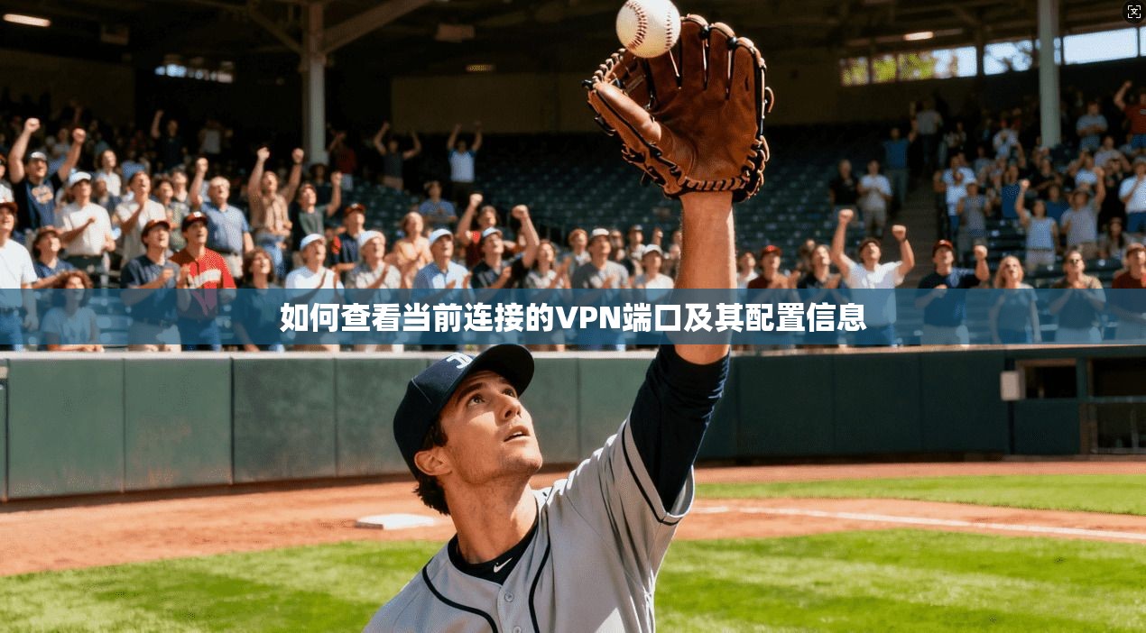 如何查看当前连接的VPN端口及其配置信息