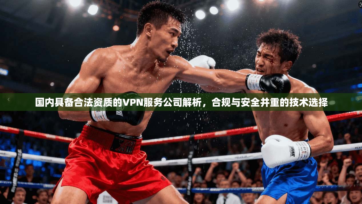 国内具备合法资质的VPN服务公司解析，合规与安全并重的技术选择
