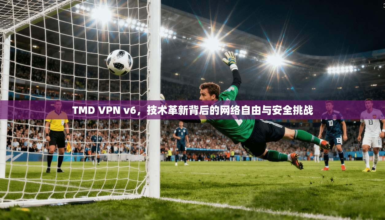 TMD VPN v6,技术革新背后的网络自由与安全挑战 TMD VPN v6,技术革新背后的网络自由与安全挑战
