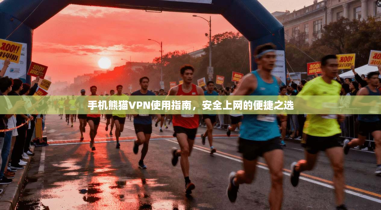 手机熊猫VPN使用指南,安全上网的便捷之选 手机熊猫VPN使用指南,安全上网的便捷之选