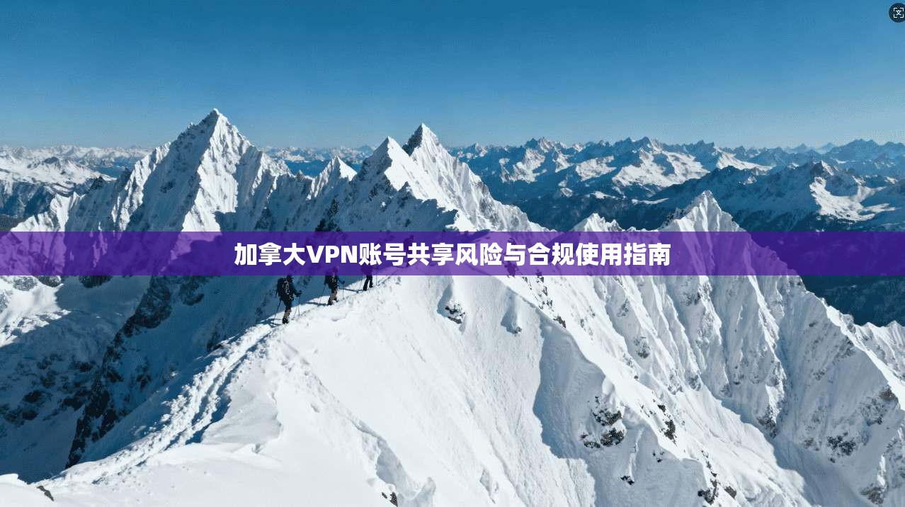 加拿大VPN账号共享风险与合规使用指南
