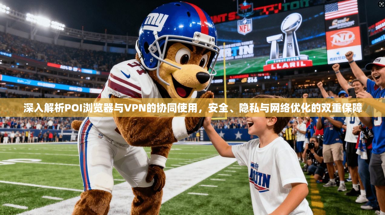 深入解析POI浏览器与VPN的协同使用，安全、隐私与网络优化的双重保障