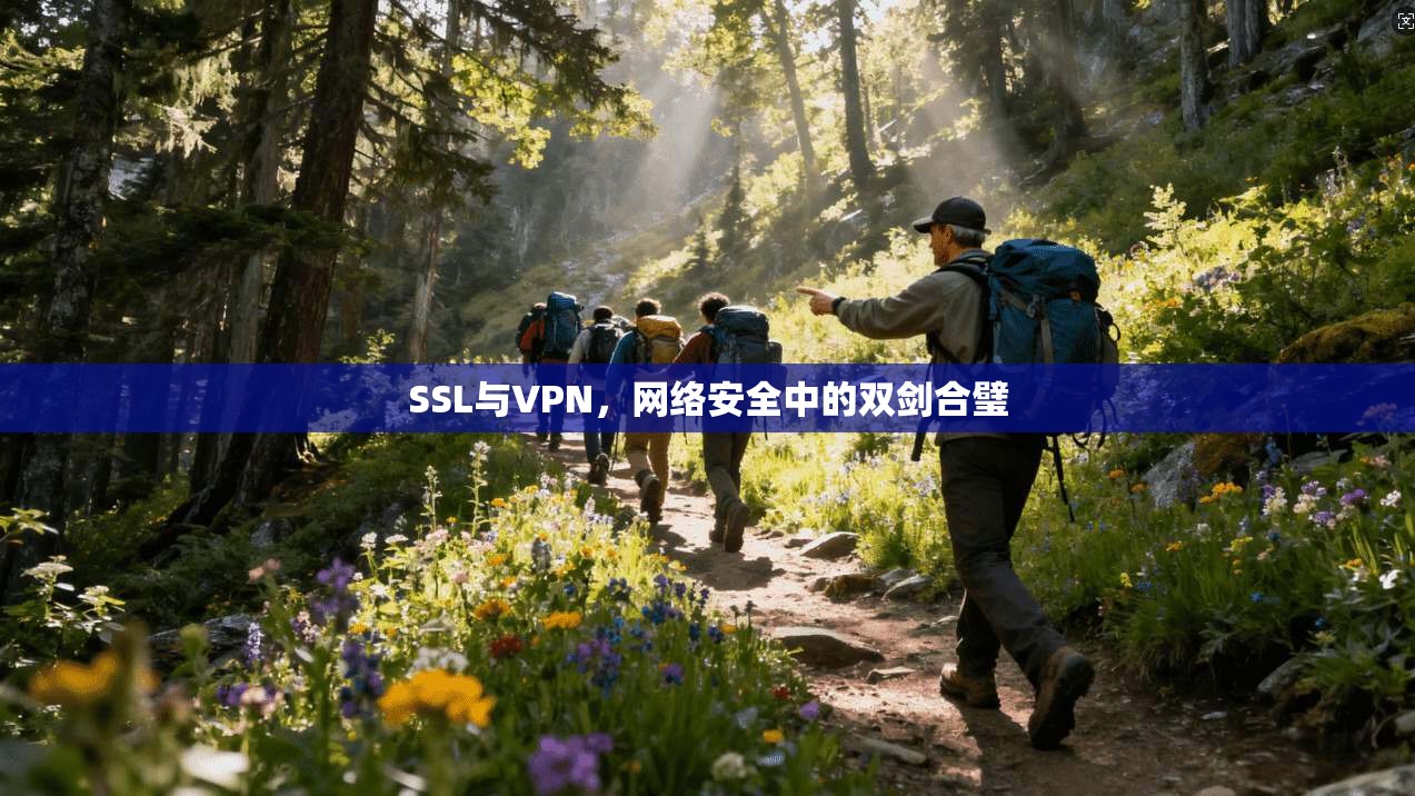 SSL与VPN,网络安全中的双剑合璧 SSL与VPN,网络安全中的双剑合璧
