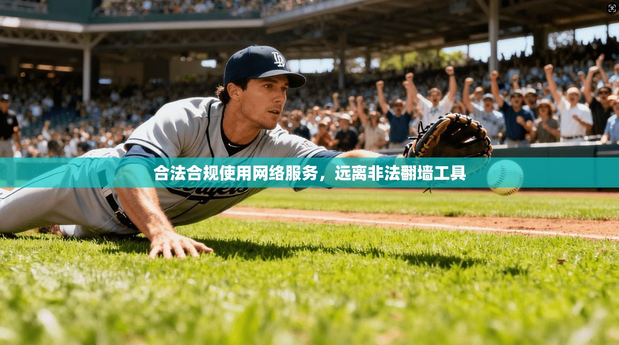 合法合规使用网络服务,远离非法翻墙工具 合法合规使用网络服务,远离非法翻墙工具