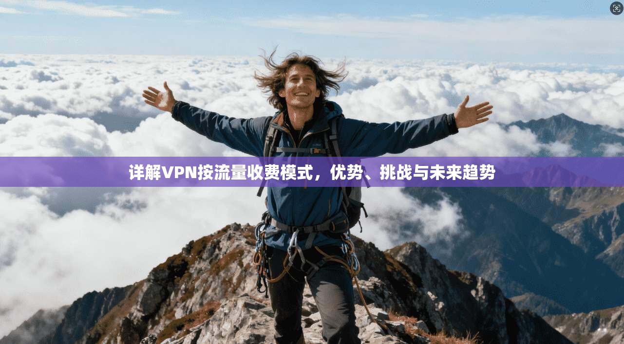 详解VPN按流量收费模式，优势、挑战与未来趋势