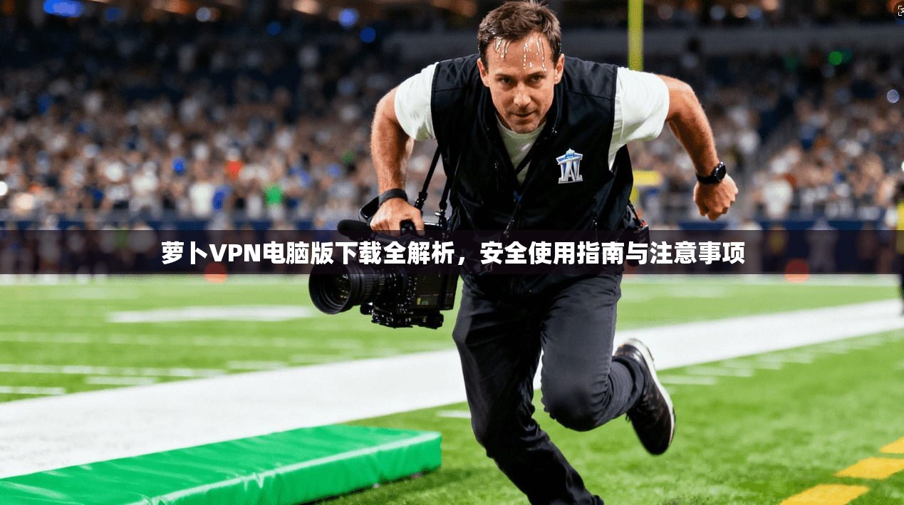 萝卜VPN电脑版下载全解析,安全使用指南与注意事项 萝卜VPN电脑版下载全解析,安全使用指南与注意事项
