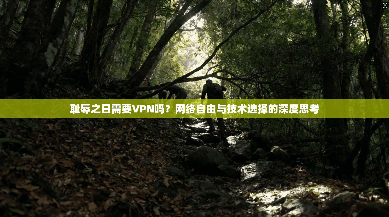 耻辱之日需要VPN吗？网络自由与技术选择的深度思考