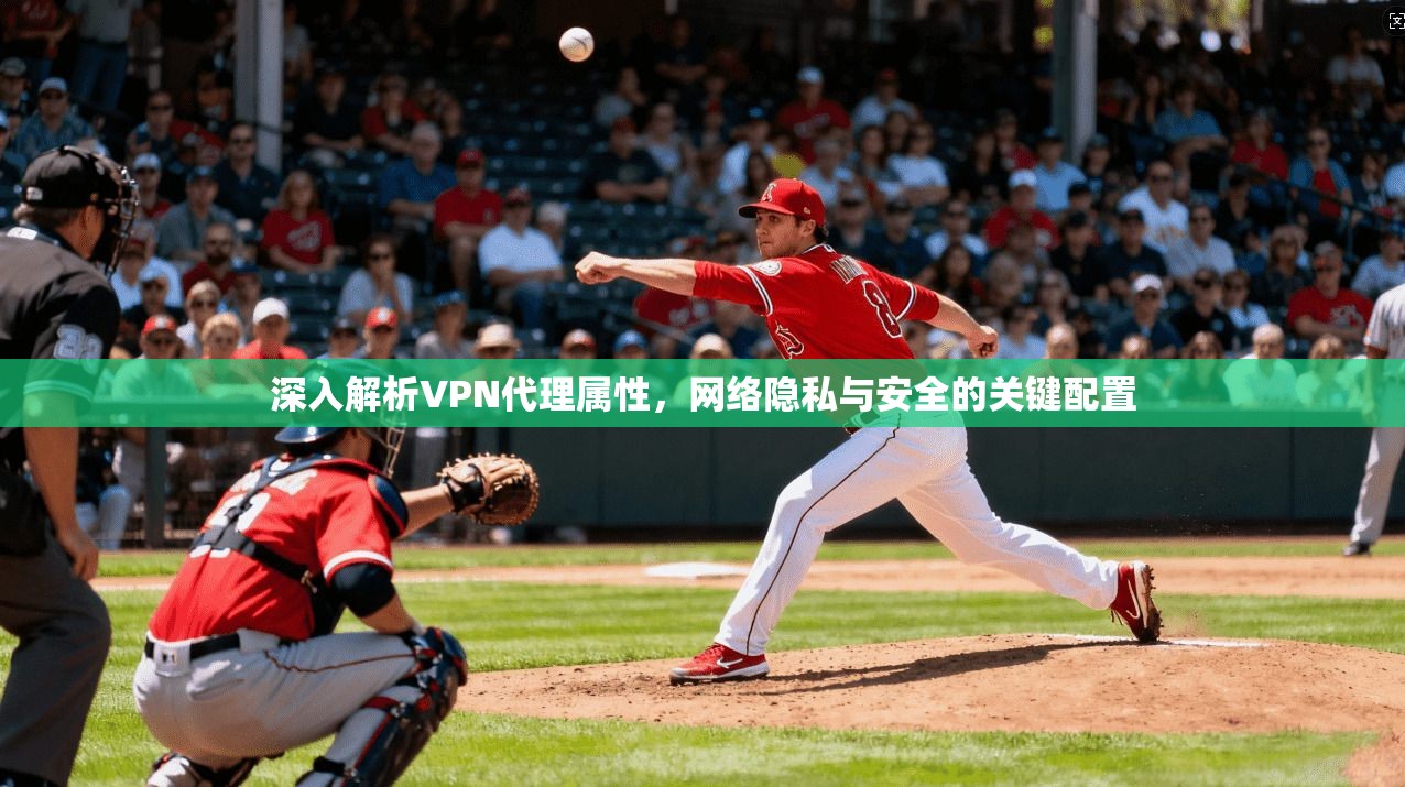 深入解析VPN代理属性,网络隐私与安全的关键配置 深入解析VPN代理属性,网络隐私与安全的关键配置
