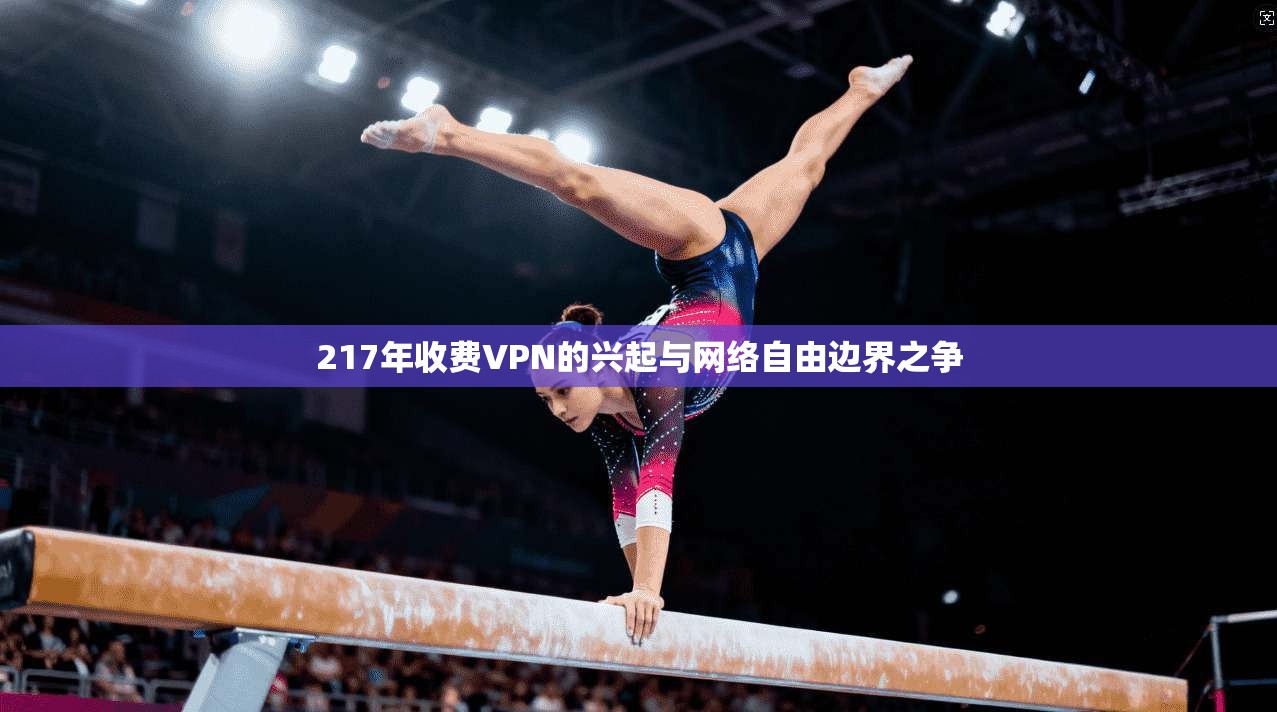 217年收费VPN的兴起与网络自由边界之争 217年收费VPN的兴起与网络自由边界之争