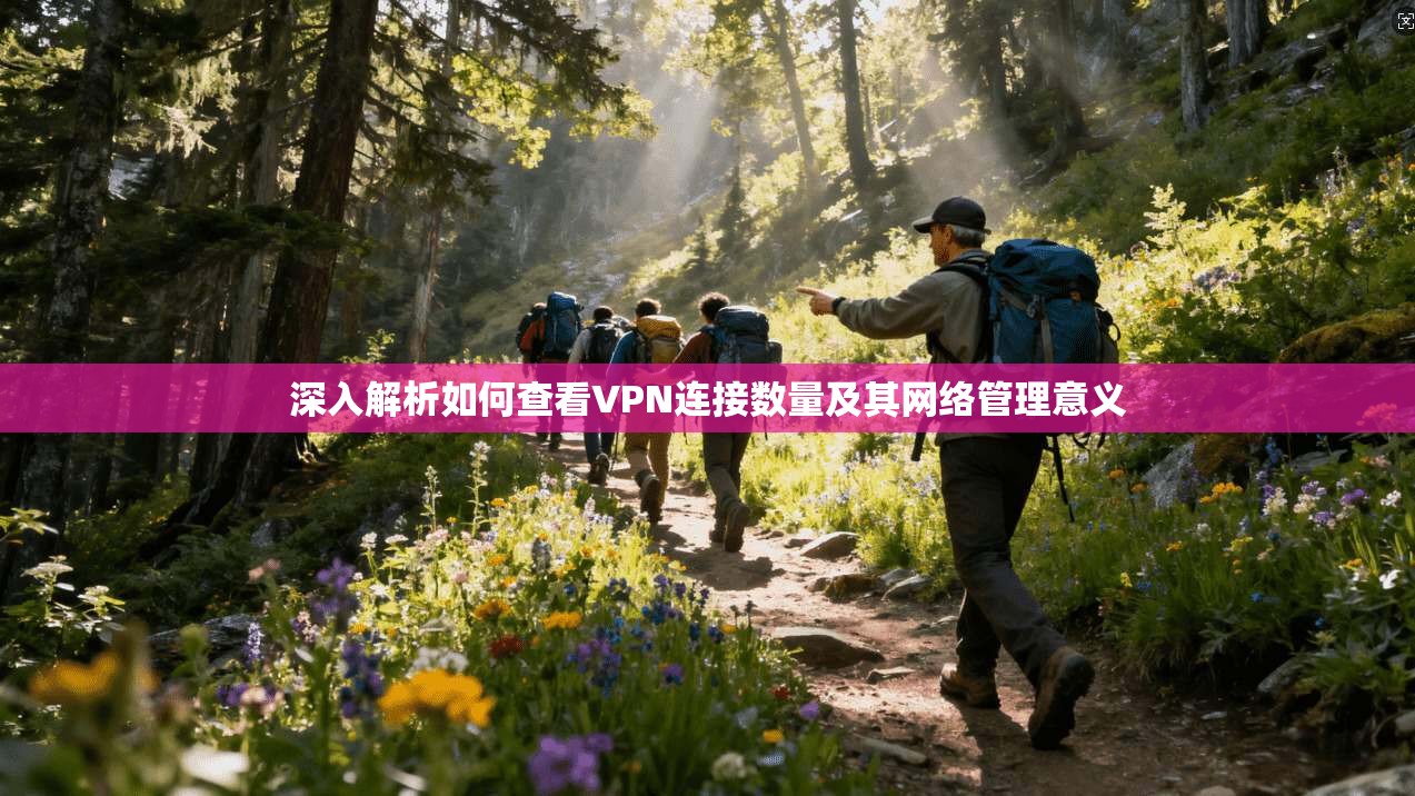 深入解析如何查看VPN连接数量及其网络管理意义