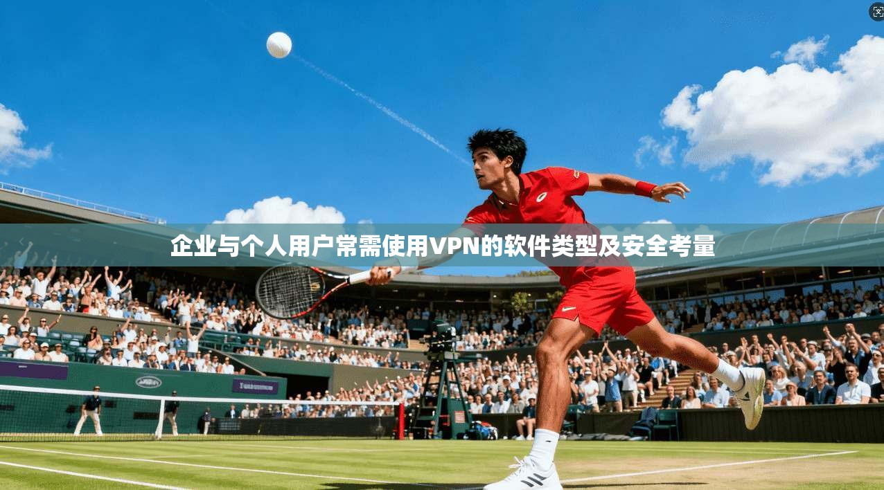 企业与个人用户常需使用VPN的软件类型及安全考量 企业与个人用户常需使用VPN的软件类型及安全考量