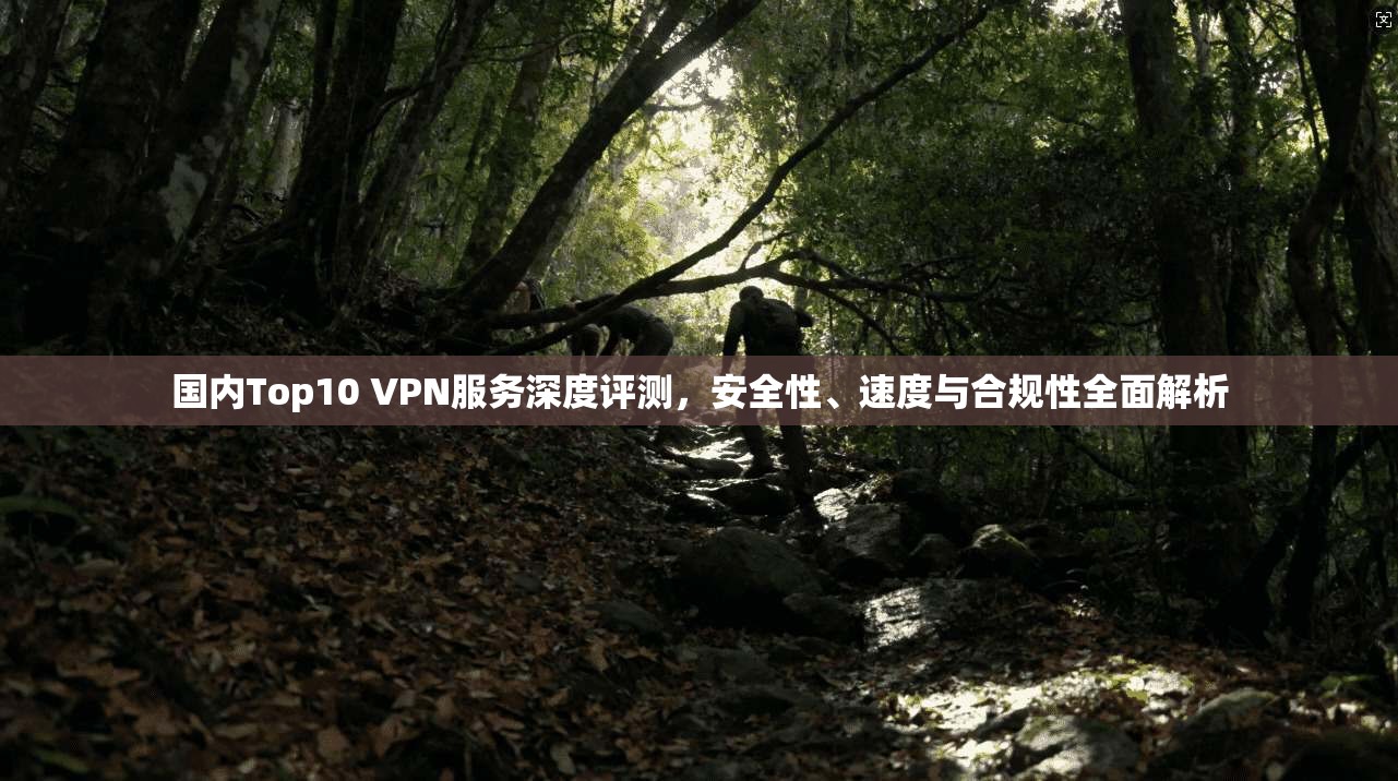 国内Top10 VPN服务深度评测,安全性、速度与合规性全面解析 国内Top10 VPN服务深度评测,安全性、速度与合规性全面解析