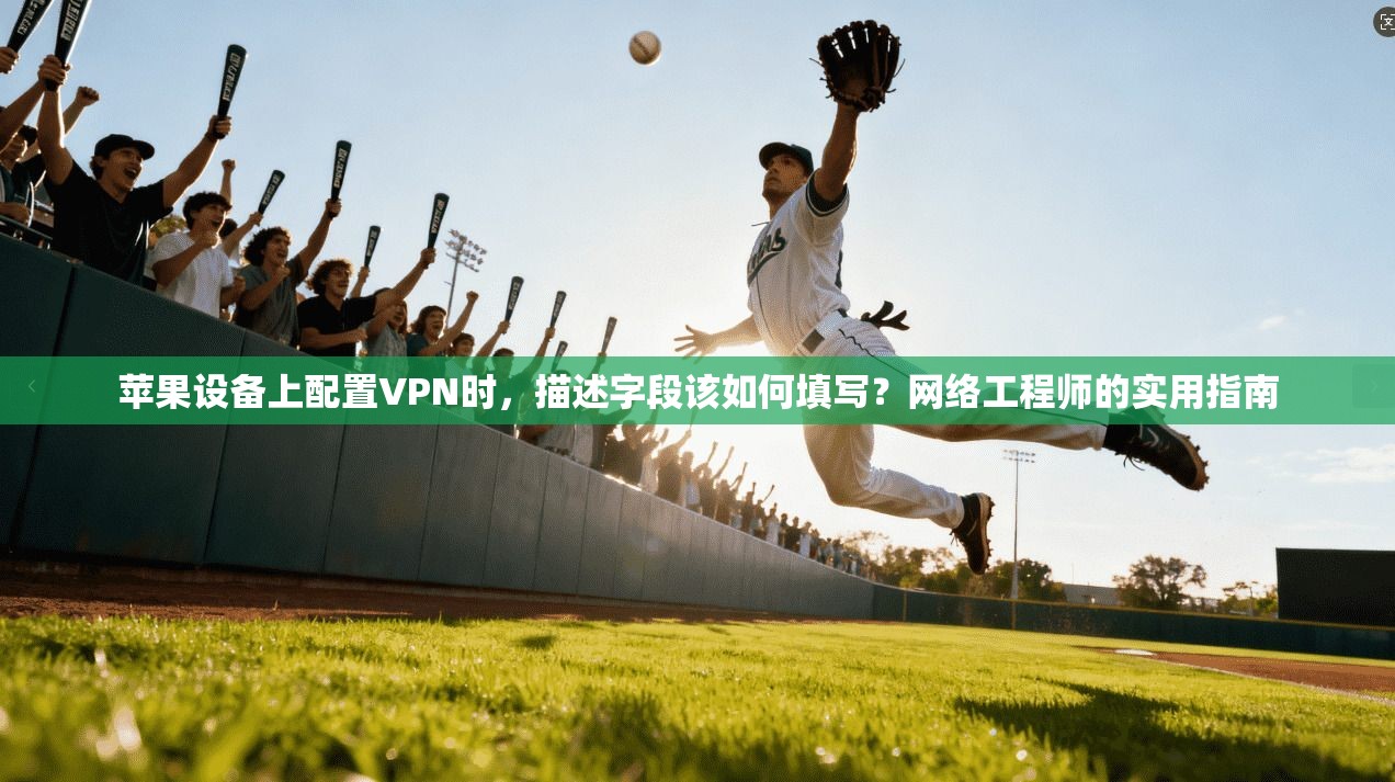 苹果设备上配置VPN时，描述字段该如何填写？网络工程师的实用指南