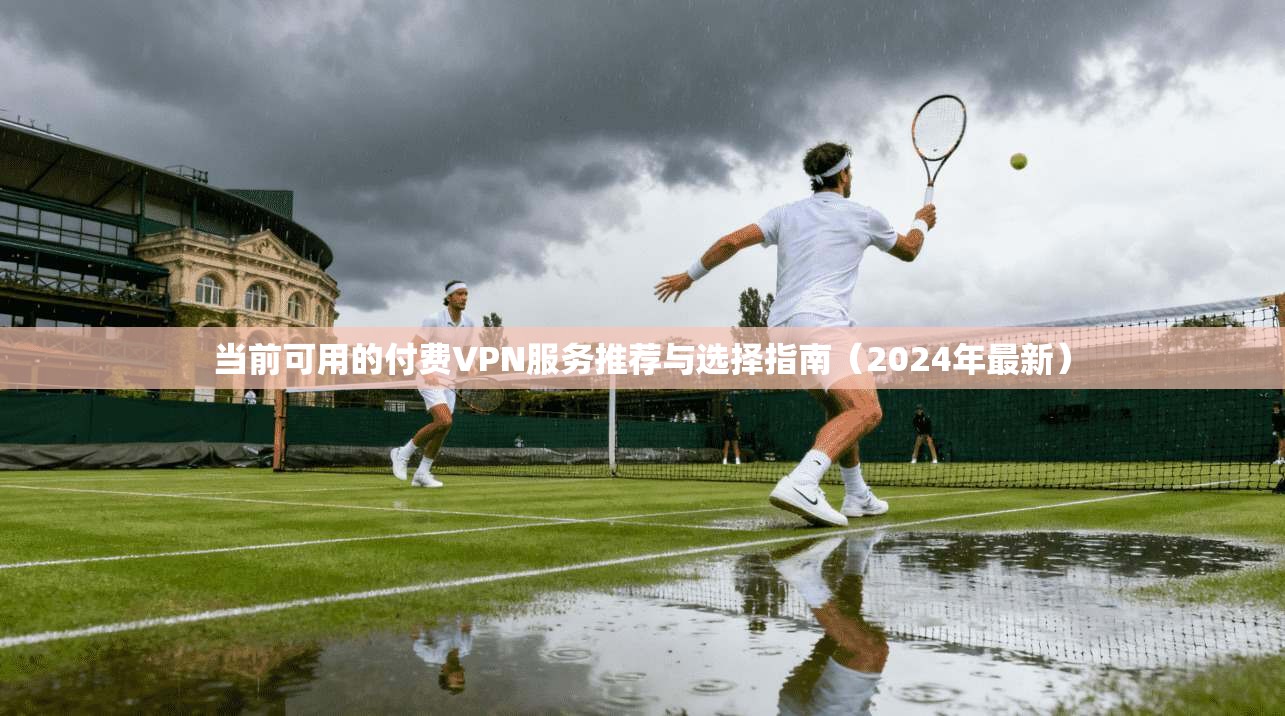 当前可用的付费VPN服务推荐与选择指南（2024年最新）