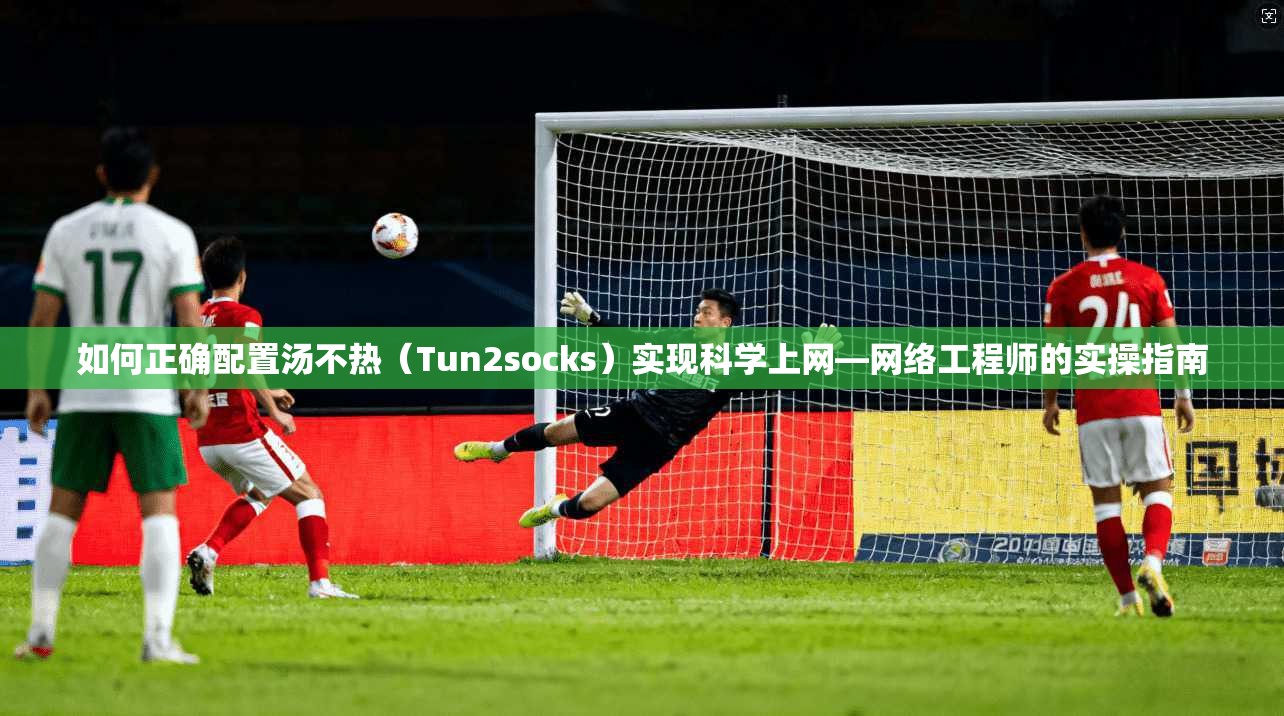 如何正确配置汤不热(Tun2socks)实现科学上网—网络工程师的实操指南 如何正确配置汤不热(Tun2socks)实现科学上网—网络工程师的实操指南