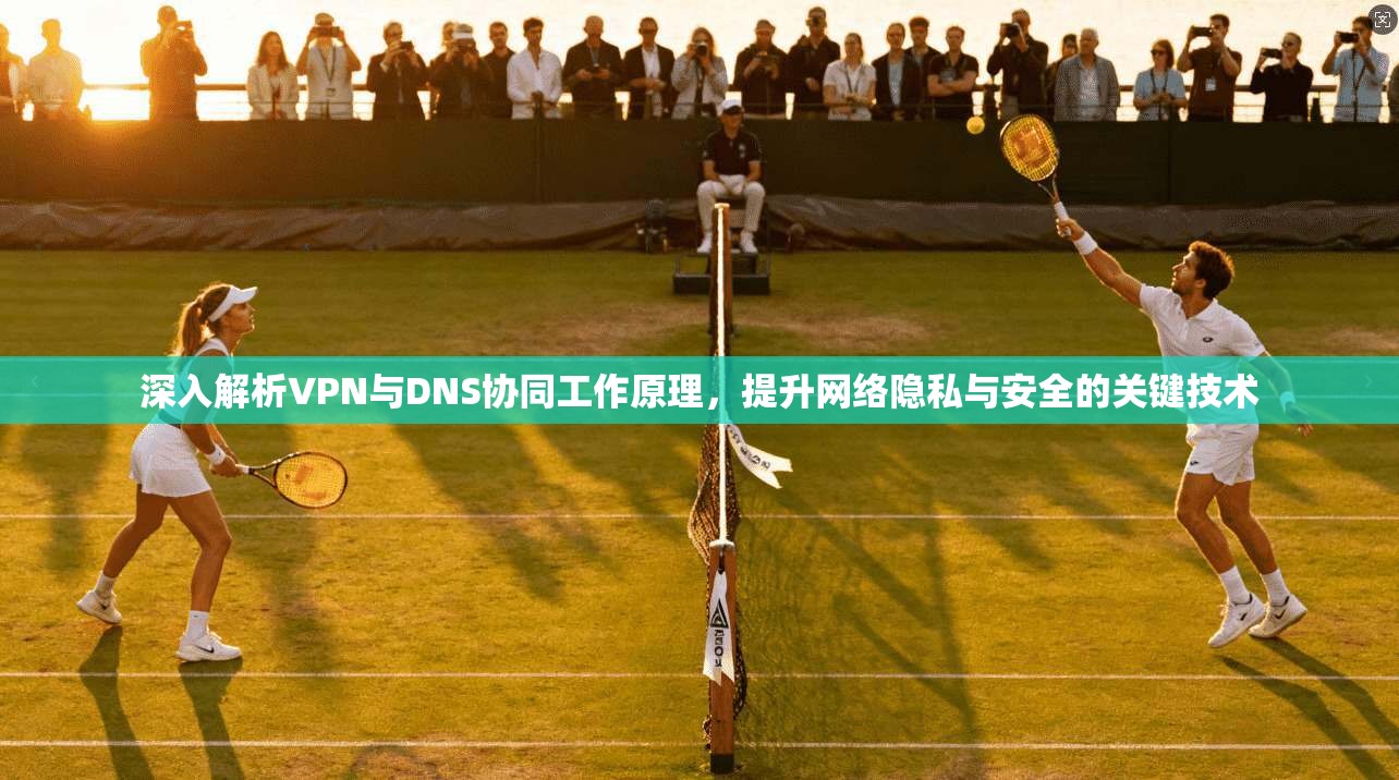 深入解析VPN与DNS协同工作原理,提升网络隐私与安全的关键技术 深入解析VPN与DNS协同工作原理,提升网络隐私与安全的关键技术
