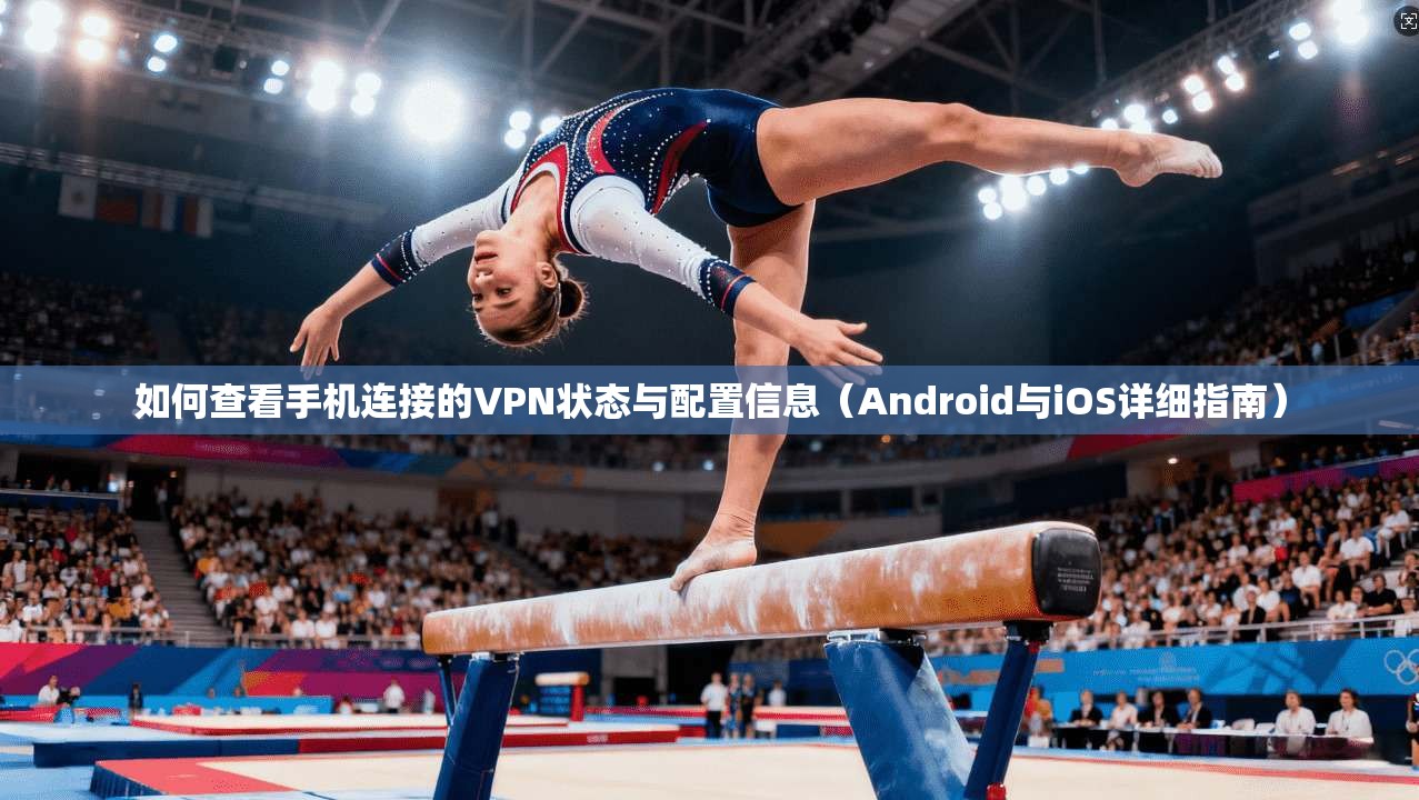如何查看手机连接的VPN状态与配置信息（Android与iOS详细指南）