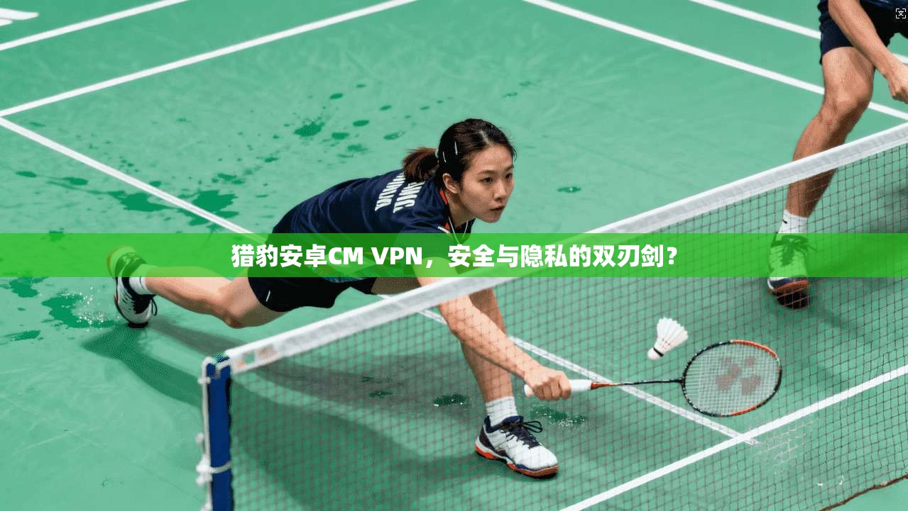 猎豹安卓CM VPN,安全与隐私的双刃剑? 猎豹安卓CM VPN,安全与隐私的双刃剑?