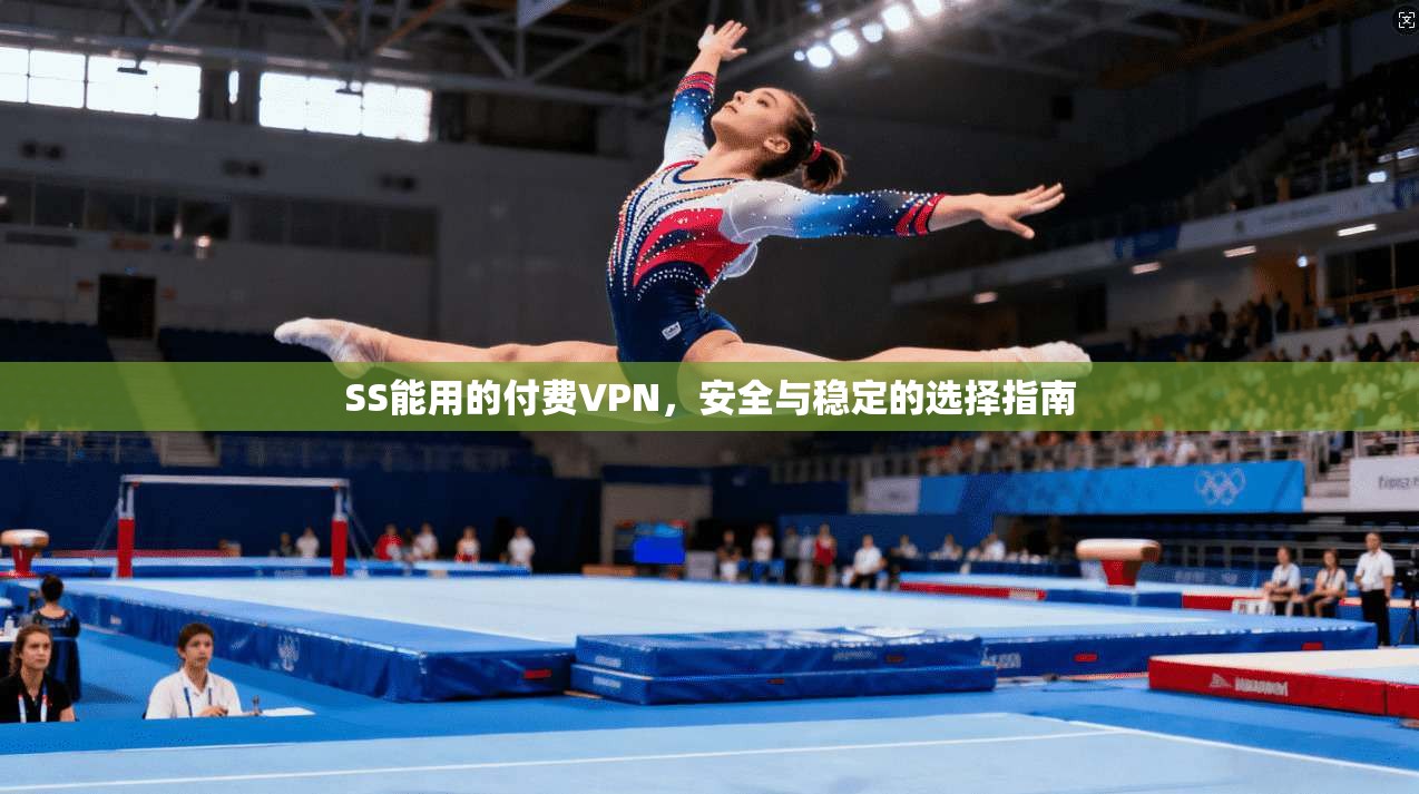 SS能用的付费VPN，安全与稳定的选择指南