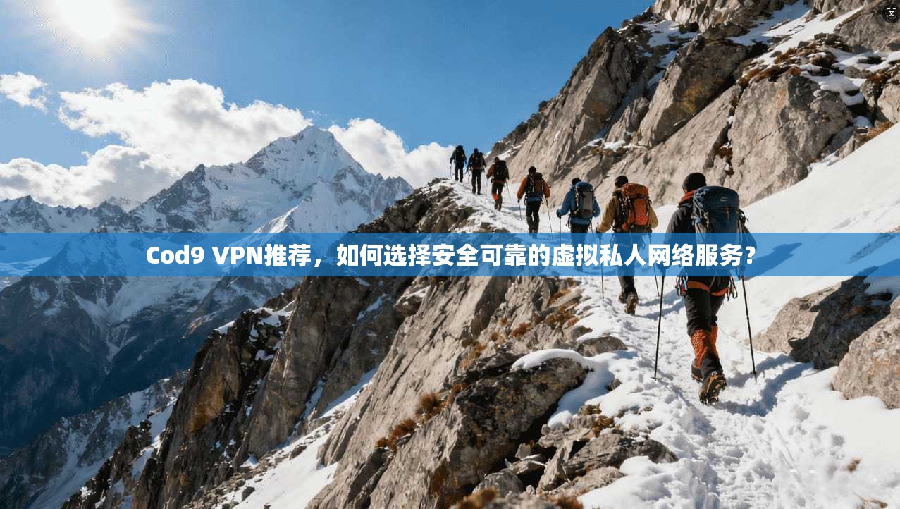 Cod9 VPN推荐，如何选择安全可靠的虚拟私人网络服务？