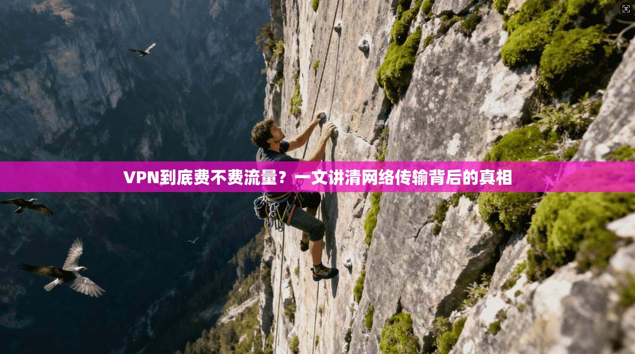 VPN到底费不费流量?一文讲清网络传输背后的真相 VPN到底费不费流量?一文讲清网络传输背后的真相