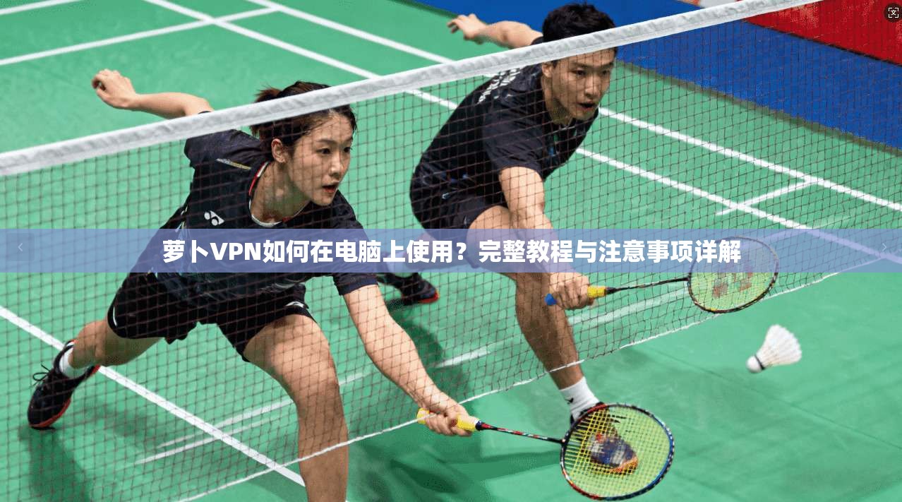 萝卜VPN如何在电脑上使用？完整教程与注意事项详解