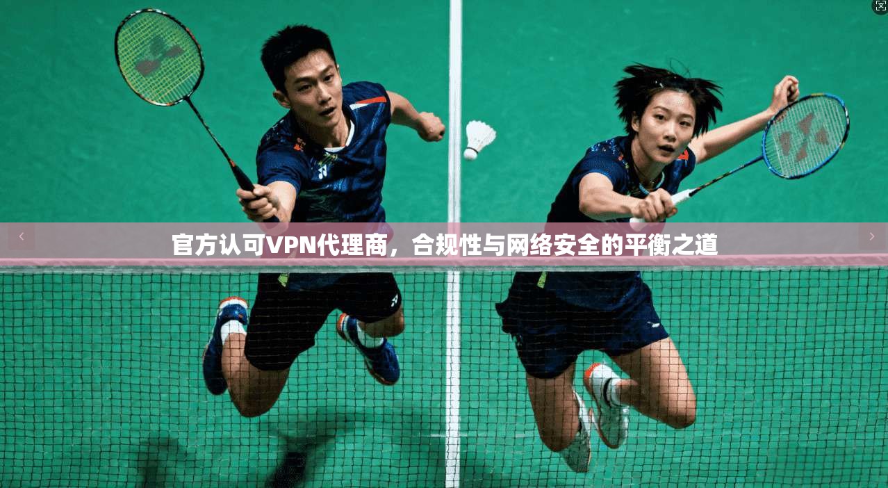 官方认可VPN代理商，合规性与网络安全的平衡之道